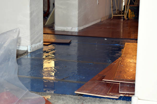 Professional Sewage Cleanup technician working in New Vineyard, ME